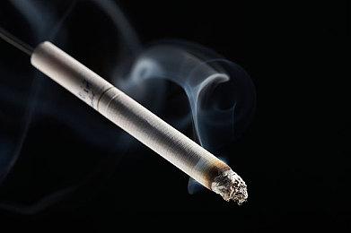 《模拟山羊3》Steam版整活预告 2024年年初发售